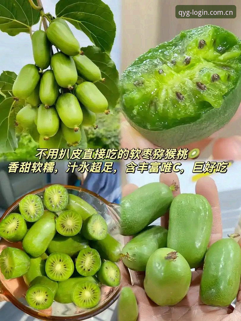 老用户手把手教你掌握奇异果体育官网登录功能，这些细节90%的人不知道